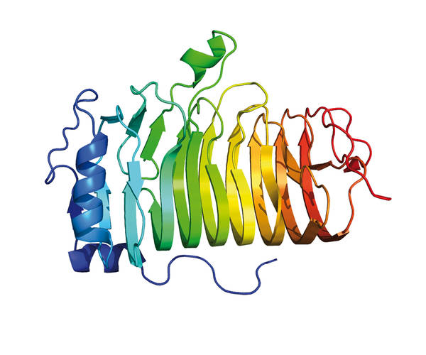 Virus, Gemeinschaft, Immunität