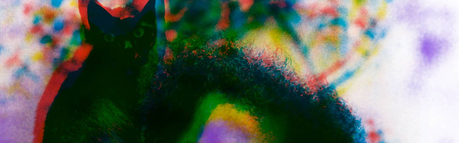 Ein Kaleidoskop zwischen Traum und Literatur